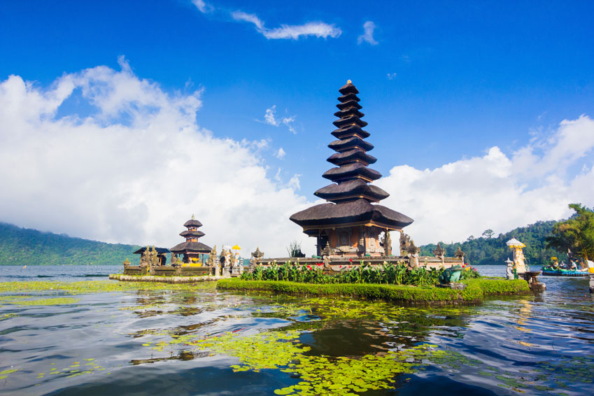 De rijstvelden en bezienswaardigheid bij Sanur in Bali