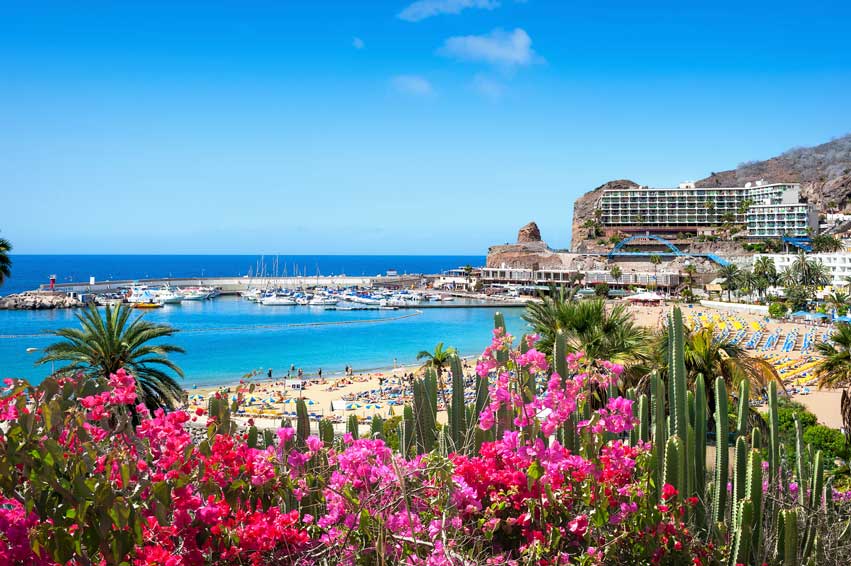 Heerlijk strand Gran Canaria en mooie bloemen