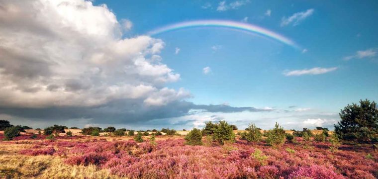 Midweek Drenthe Roompot vakanties | april 2018 nu maar €75,-