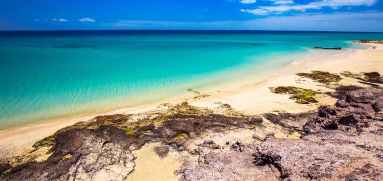 Wow! 8-daagse vakantie Fuerteventura voor €253,- | Juni 2020